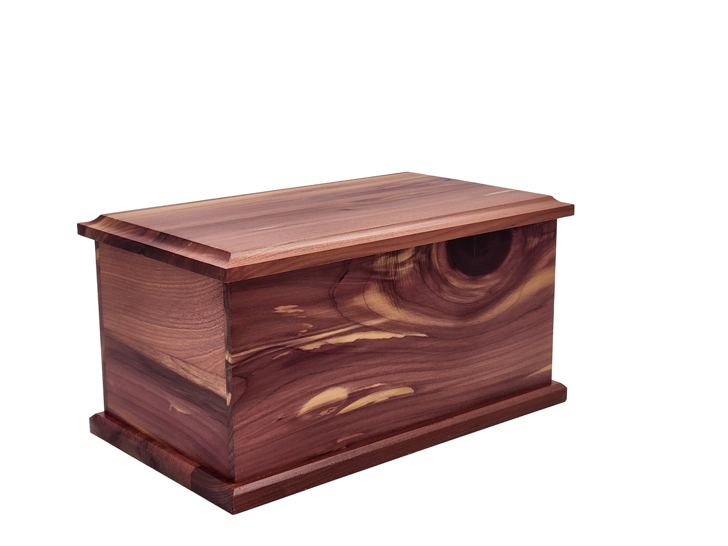 Large Cedar 120