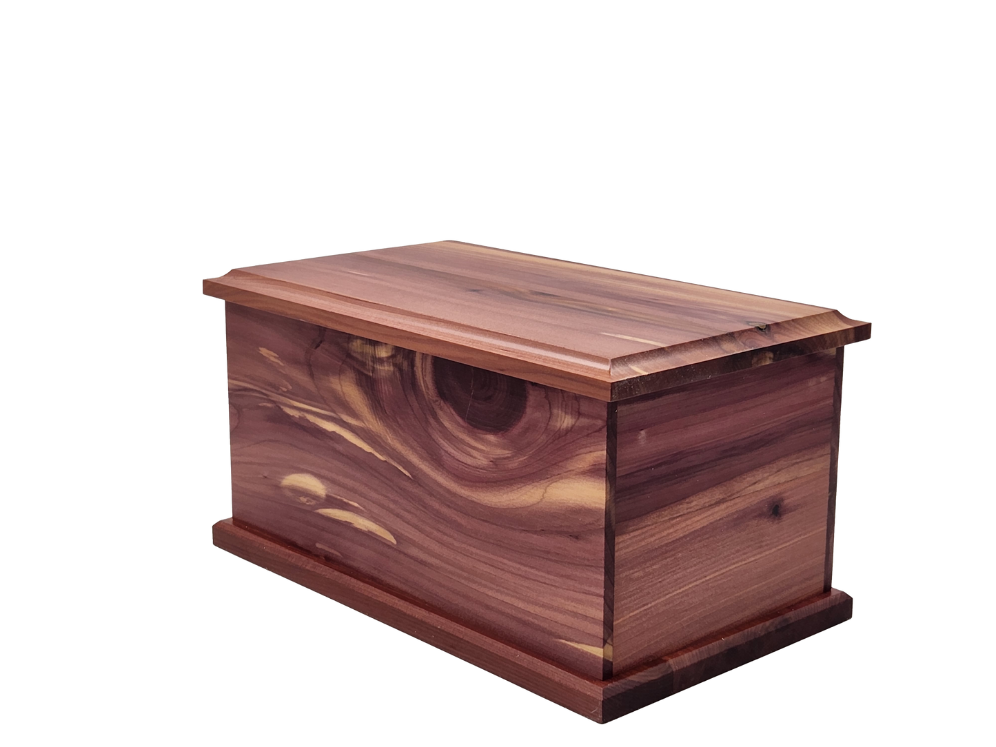 Large Cedar 120