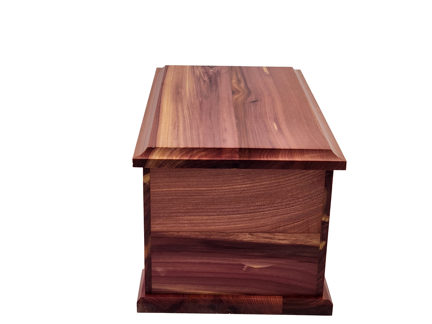 Large Cedar 120