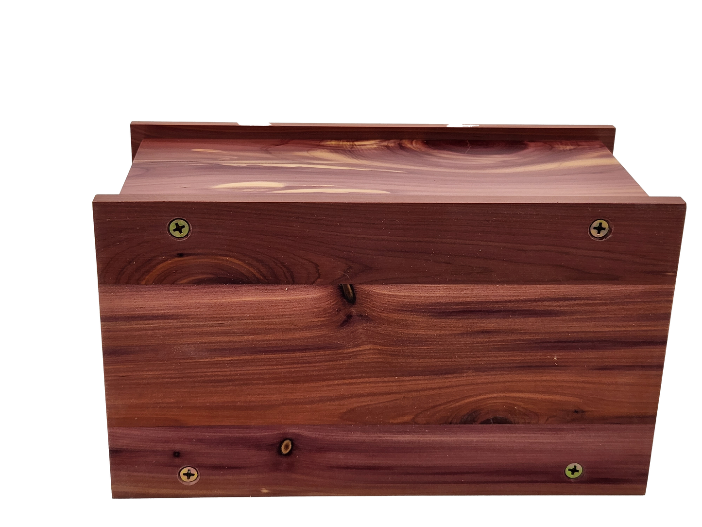 Large Cedar 120