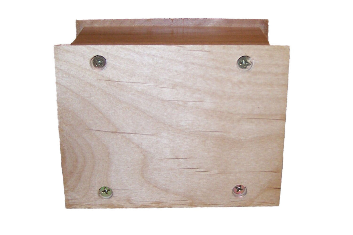 Small Alder Urn #30