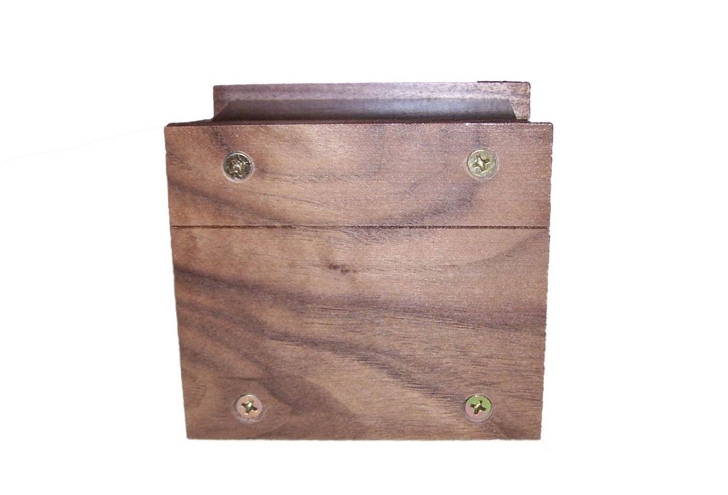 Engraved Cat Paw Print Walnut Keepsake cremation urn